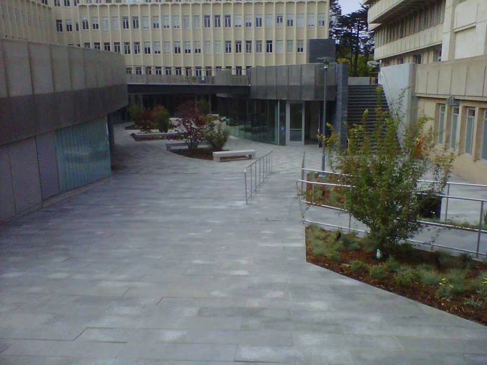 Pavers at USF by The Legacy Paver Group