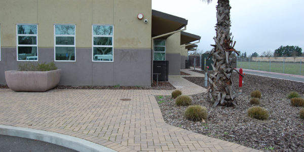 Walkway pavers for the Amarosa Academy in Santa Rosa
